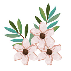 beautiful flowers and leafs decoration