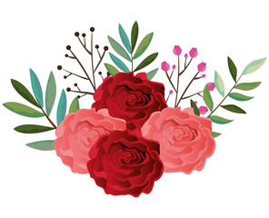 beautiful rosebush decoration icon