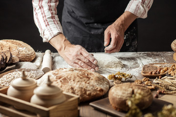 Obraz na płótnie Canvas Hands of male chef cook working with dough, surrounded by bread and long loafs from whole wheat flour. Bakery concept. Homemade bakery concept