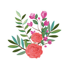 branch with rose and leafs
