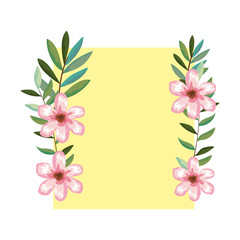 frame with flowers and leafs decoration