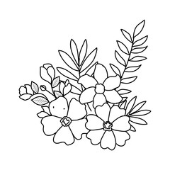 beautiful flowers and leafs decoration