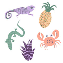 Exotic tropical animals; crab, chameleon, lizard. Paradise, tropic plants.  Isoleted on white background