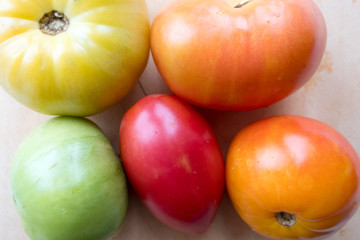 Tomatoes of different colors, red, orange, yellow, green, close-up.