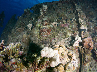 Naklejka na ściany i meble sunken ship with under the sea