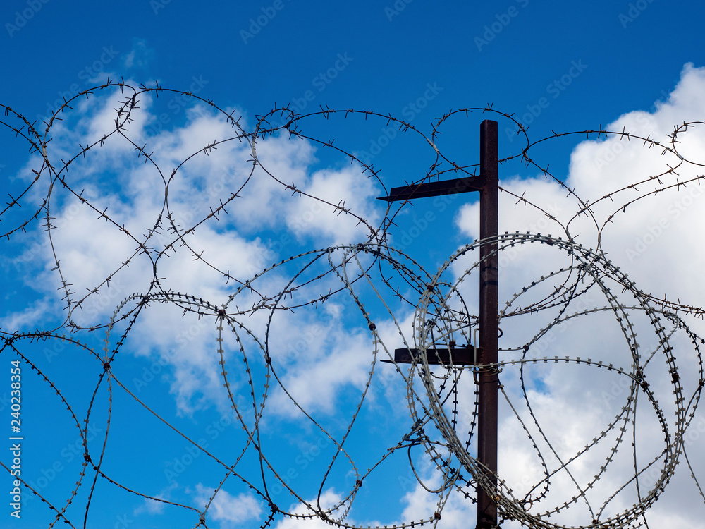 Wall mural a fragment of a barbed wire fence against a blue sky and clouds.