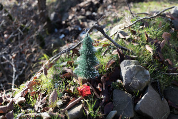 Christmas and New Year concept. Small gift at nature during sunlight. Empty space. No snow