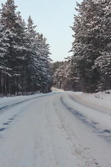 Obraz premium road in winter forest