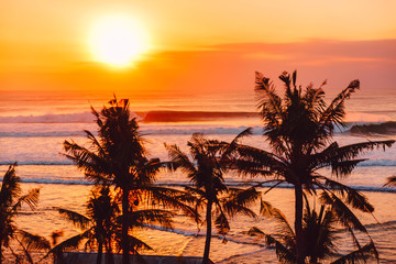 Warm sunset or sunrise with ideal ocean waves for surfing and coconut palms