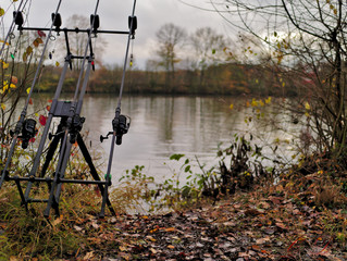 Pêche a la carpe en rivière 