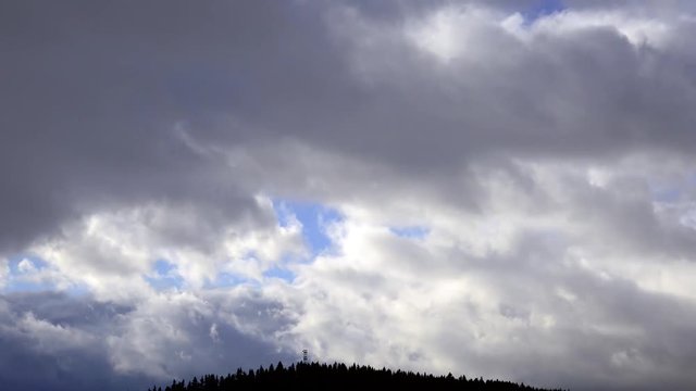 Fast moving storm clouds over pine forest at wintertime timelapse footage.