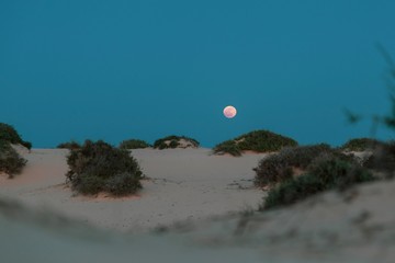 Luna en las dunas de corralejo