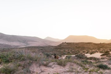 Cabras en las dunas