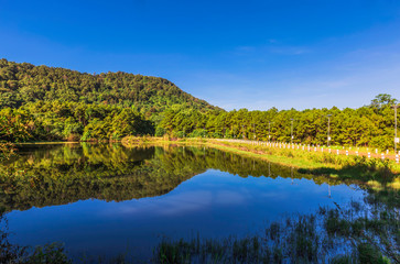 Savannah and pine forest in Thung Salaeng Luang National Park, Thailand