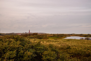 Fototapeta na wymiar Texel Netherlands - View on Lighthouse Eierland De Cocksdorp Dutch Island