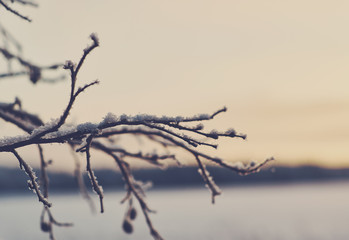 Winter  Beautiful Christmas landscape
