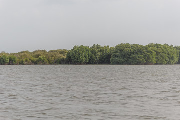 landscape with river