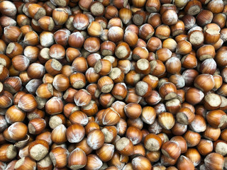 hazelnut