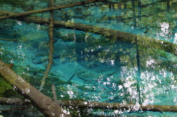 北海道・神の子池