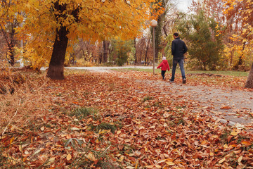 The father with the child walks in the autumn park