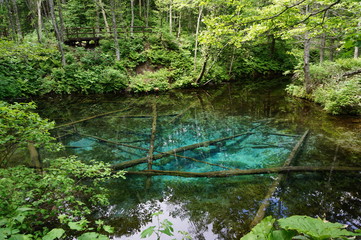 北海道・神の子池