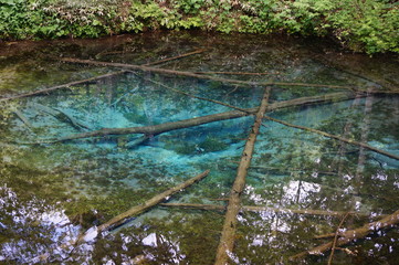 北海道・神の子池