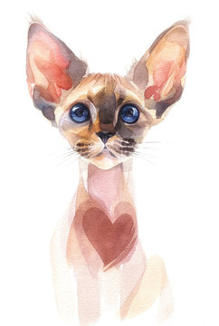 Hand painted watercolor. Siamese cat with heart on chest.