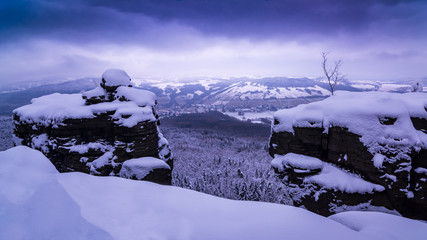 Morning snowy landscape - 240246575