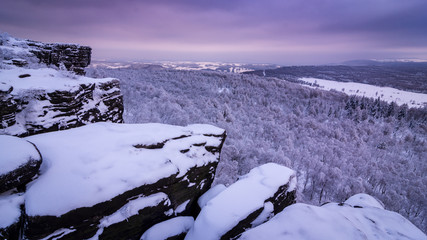 Morning snowy landscape - 240246730