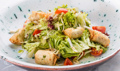Rolls with tofu cheese on leaves salad with cherry tomatoes. Vegetarian dish. On white background