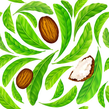 Shea nuts with leaves in vector pattern.