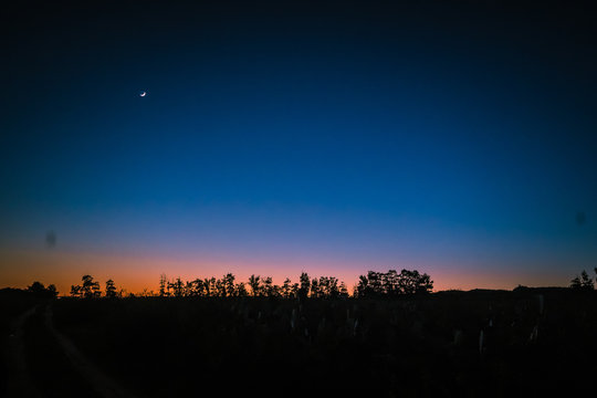 buty sunset