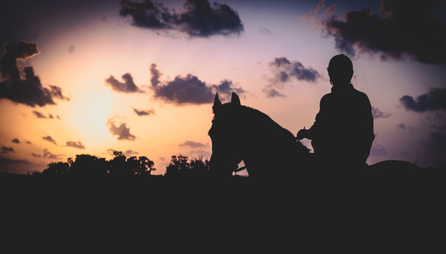 silhouette of man with hors