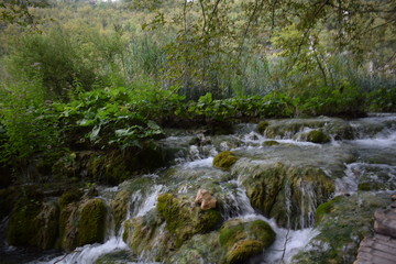 Fototapeta na wymiar waterfall in the forest, Plitvice Lakes National Park, Croatian