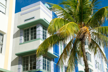 Fototapeta na wymiar Bright scenic morning view of Miami skyline with palm trees