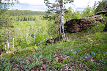 Rocks in the forest of Siberia