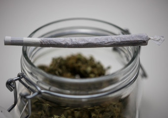 Getrocknetes Cannabis Kraut 