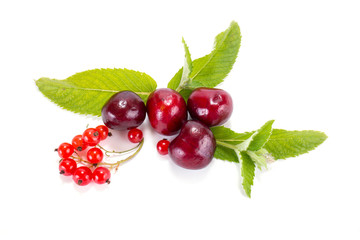 Cherry and mint leaves