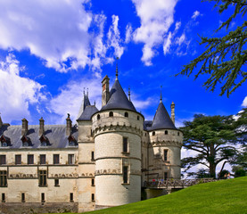 Fototapeta na wymiar france,loire castles : chaumont castle & cedar