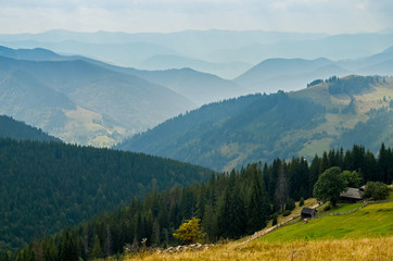 The peaks of the Carpathian Mountains. Mountain ranges covered with forests under blue clouds