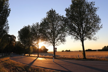 Naklejka premium Landschaftsstraße bei Sonnenuntergang