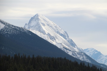 Fototapeta na wymiar Snow Covered Peak, Jasper National Park, Alberta