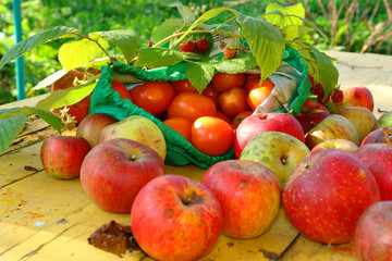 delicious still-life of vegetables