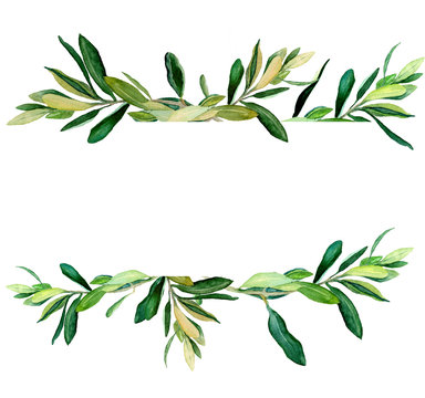 Watercolor olive branches template on white background. Hand drawn watercolor illustration. Design for covers, packaging, season offers, just add your text.