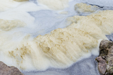 Dirty, yellowish foam on the river. Texture background