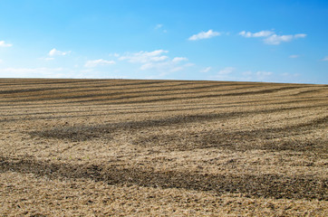 Plakat Soybean field after harvest in the fall.