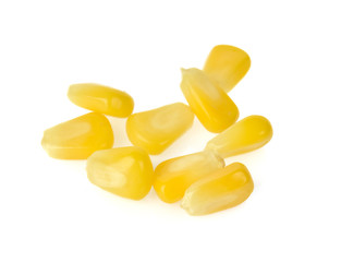 Fototapeta premium corn isolated on white background