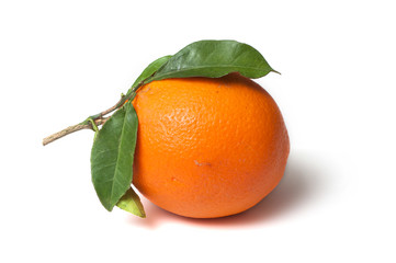 closeup of orange fruit with leaves on white background