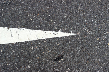Asphalt pavement sign marking crosswalk white paint wet old surface texture detail