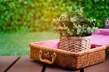 Fototapeta na wymiar Plant pots placed in wooden baskets Looks fresh Make it lively, relax with daily life The green color of the tree makes people 's eyes look and feel comfortable. Environmental care concept